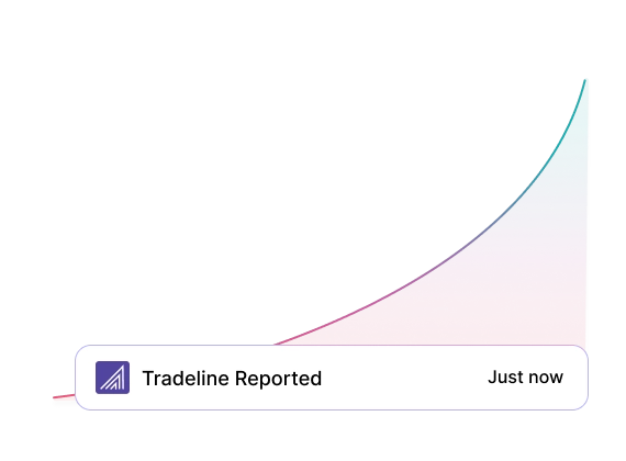 tradeline improvement